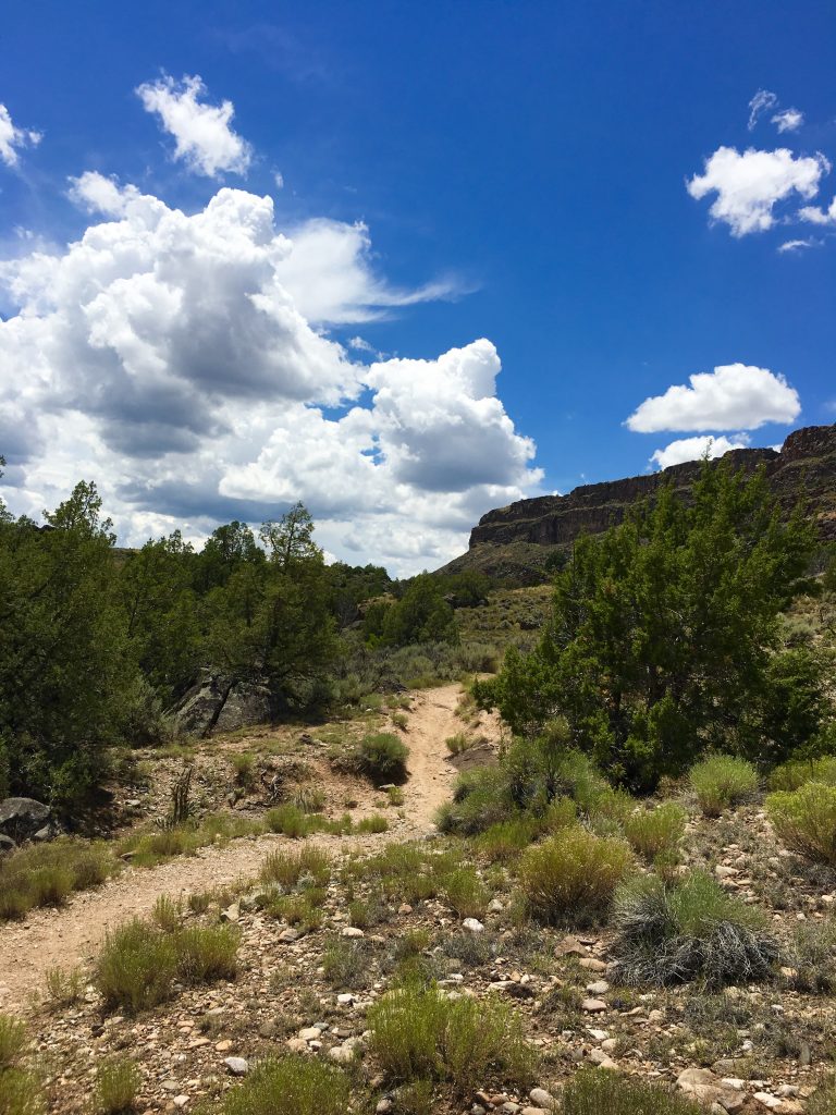 Taos New Mexico Hiking on the La Vista Verde Trail in Rio Grande Del Norte National Monument