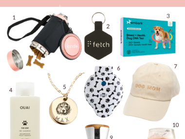 Gift Guide For The Dog Mom
