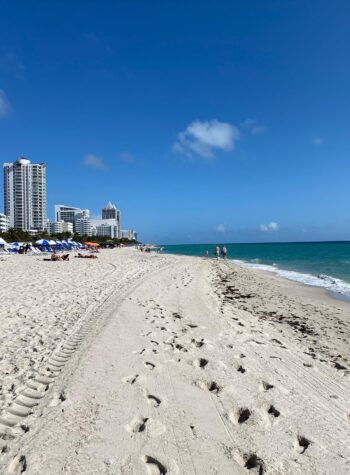 Miami beach vacation recap guide
