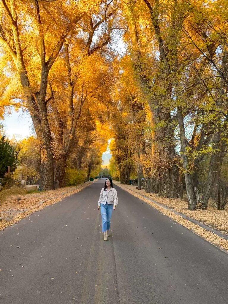 Fall in Taos New Mexico